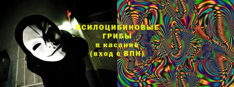 Псилоцибиновые грибы Cubensis  Казань 